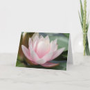 Suche nach wasserlilien einladungen Rosa
