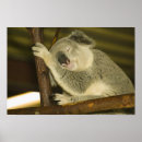 Suche nach ozeanien kunst poster Tourismus