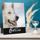 Suche nach hunde fotoplatten Für haustiere