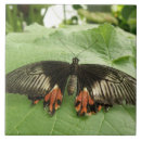 Suche nach rot und gold fliesen Schwarz