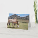 Suche nach stute und fohlen karten Ranch