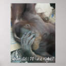 Suche nach hangover poster Spaß