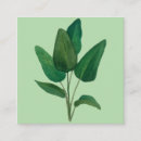 Suche nach grüne hochzeit visitenkarten Pflanze