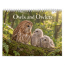 Suche nach eulen kalender Greifvögel