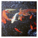 Suche nach fische im wasser fliesen Orange