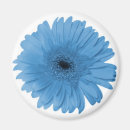 Suche nach gerber magnete Mit blumen
