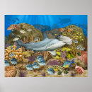 Suche nach coral reef poster Riff