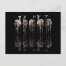 Suche nach zebra streifen postkarten Wild