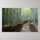 Suche nach bamboo poster Bambuswald