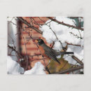 Suche nach rotkehlchen postkarten Winter