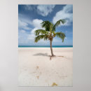 Suche nach aruba poster Karibisches meer