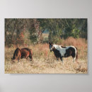 Suche nach braunes pferd poster Farbe