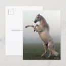 Suche nach lusitano postkarten Grau