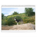 Suche nach heiser kalender Welpe