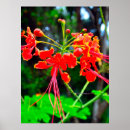 Suche nach leinwanddrucke poster Flora