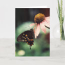 Suche nach papillon waren karten Natur