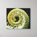 Suche nach biologie leinwandbilder Farbeffekt