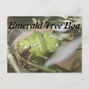 Suche nach boa poster Zoo