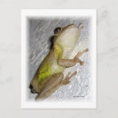 Suche nach baumfrosch postkarten Froschgeschenk