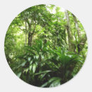 Suche nach tropischer regenwald aufkleber Natur