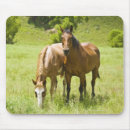 Suche nach pferd mousepads Cowboy