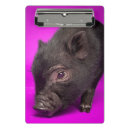 Suche nach schweine klemmbrett Ferkel