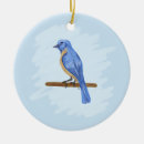 Suche nach blauer vogel ornamente Tiere