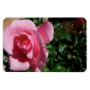 Suche nach knospe magnete Natur