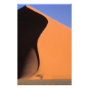 Suche nach sossusvlei poster Sand