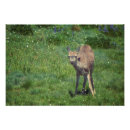 Suche nach wiese kunst Fotografie