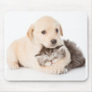 Suche nach katzen und hunde mousepads Niedlich