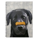Suche nach nasen Labrador