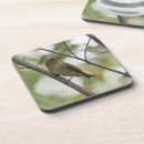 Suche nach roter vogel untersetzer Naturfotografie