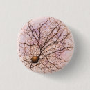 Suche nach neurologie buttons Biologie