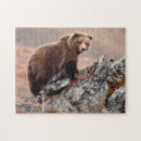 Suche nach braunbär puzzle Wild lebende tiere