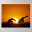 Suche nach huftiere poster Ökotourismus