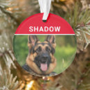 Suche nach deutsche alle ornamente Dogs