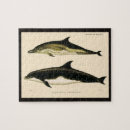 Suche nach säugetier puzzle Delphine