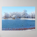 Suche nach alter baum poster Fotografie