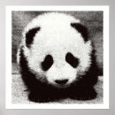 Suche nach kleiner panda poster Bär