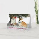 Suche nach pembrokewalisercorgi karten Wolljackenwalisercorgi