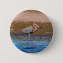 Suche nach tropische vögel buttons Vogel