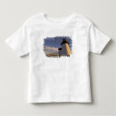 Suche nach bauwerk tshirts Bujaruelo
