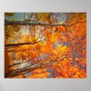 Suche nach espen poster Fall