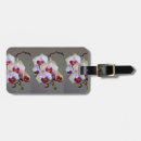 Suche nach orchideen gepäckanhänger Fotografie