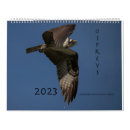 Suche nach flügel kalender Fliegen