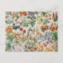 Suche nach biologische postkarten Vintag