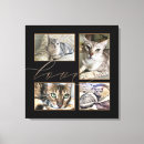 Suche nach katzen leinwandbilder Hund