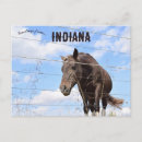 Suche nach indiana postkarten Amerika
