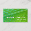 Suche nach heller hintergrund visitenkarten Grün